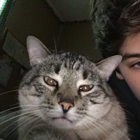 Josh Wydra (@wydrajosh) 's Twitter Profile
