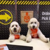 Joe (@joeoasm0707) 's Twitter Profile Photo Joe (@joeoasm0707) 's Twitter Profile Photo