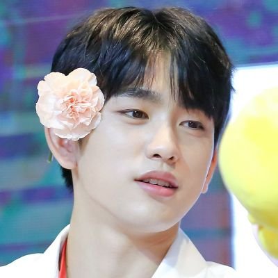 《Jinyoung》 [] @jrjyp [] [ JJProject ] [ GOT7 ]