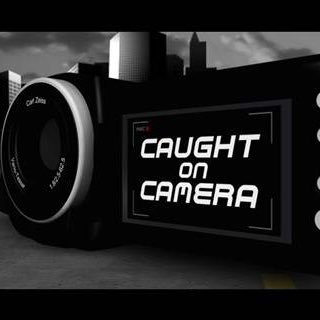 caughtoncamera8's profile picture. Shaming the idiots of the road