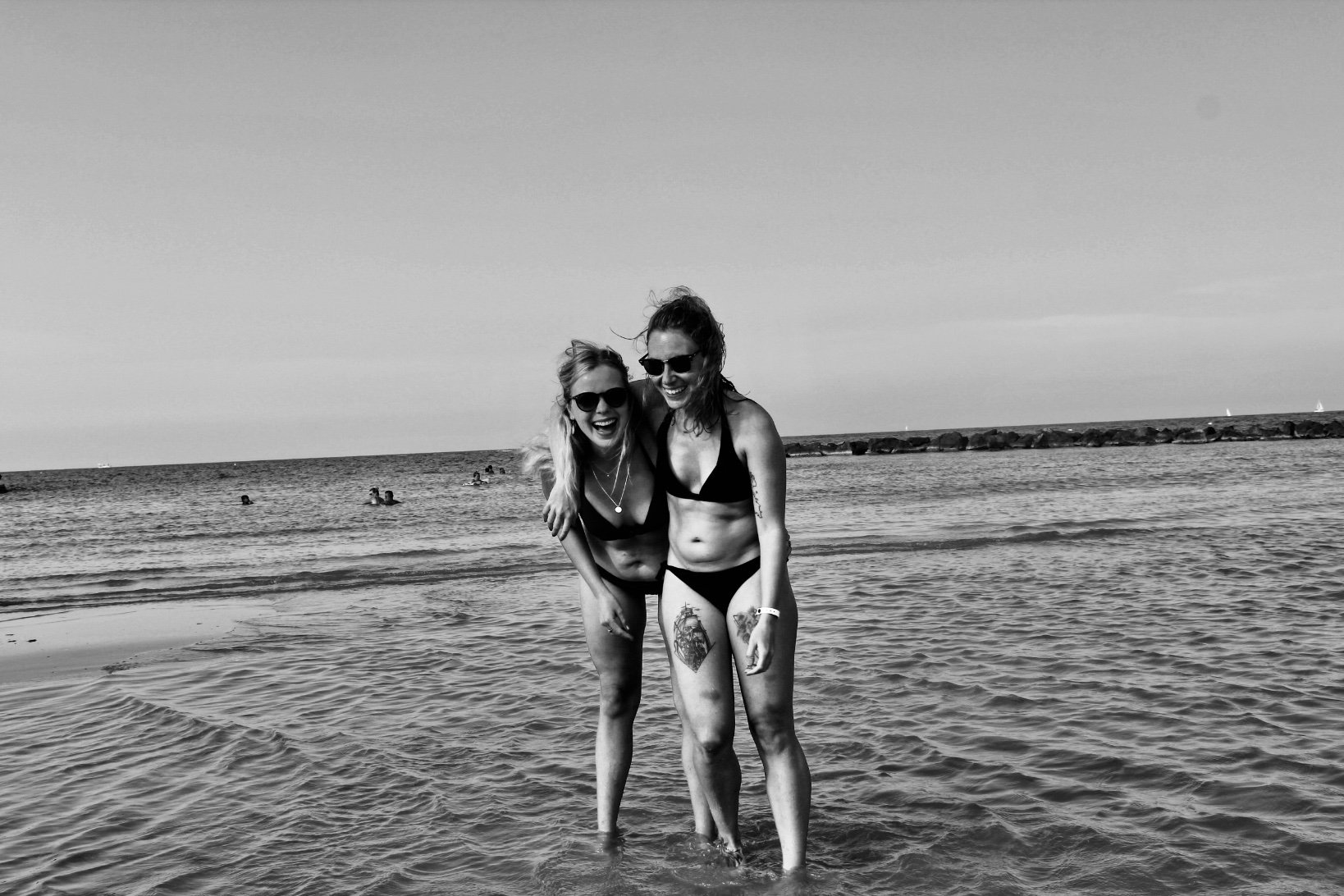 MicrobusM's profile picture. 