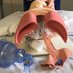 Critical Care - Royal Lancaster Infirmary (@careroyal) Twitter profile photo Critical Care - Royal Lancaster Infirmary (@careroyal) Twitter profile photo
