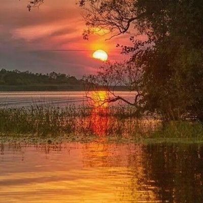 BYvXzKYoSz1phf2's profile picture. 