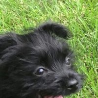 Fun River Rat. ♌♉ (@satirnc) 's Twitter Profile Photo