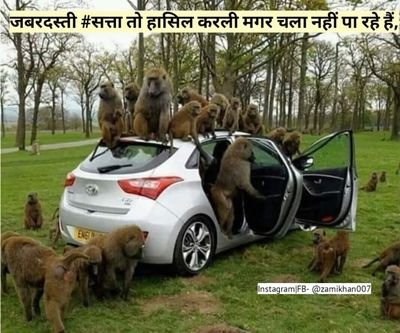 राष्ट्रीय संयुक्त मंत्री - मानववादी छात्र-युवजन सभा (अर्जक संघ)

#जय_अर्जक