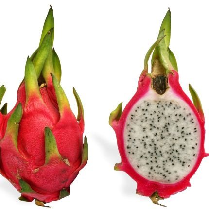 I am a dragon and a superfood. Head of the rootsistance FDA #Turnip2020 #rootsistance #fruitsistance