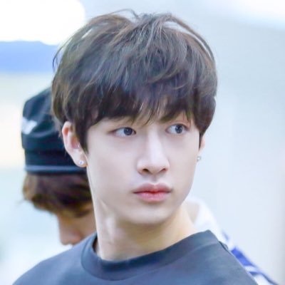 stray kids is the only group that matters
