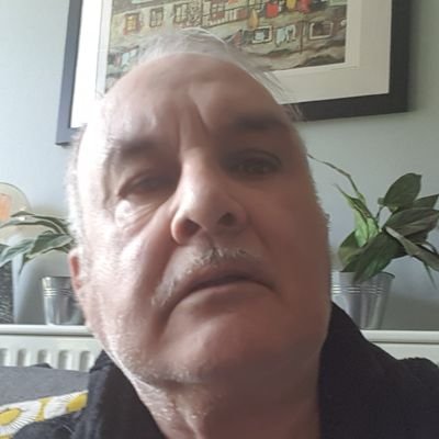 trebornos's profile picture. Retired but not retiring.