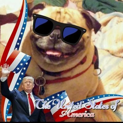 🚂🇺🇸🇺🇸🇺🇸🇺🇸   TRUMP IS MY PRESIDENT!!!!   🐘Roll Tide!🏈  #MAGA #KAG 🇺🇸 
NO D.M.s will block....