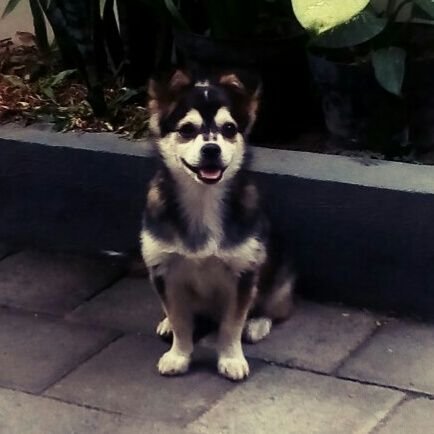 IGSA03's profile picture. 