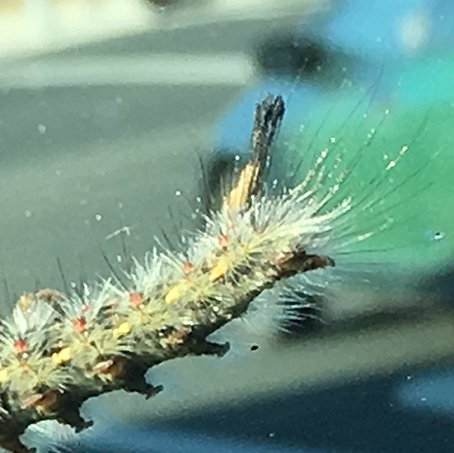 sans_souci15's profile picture. everything art