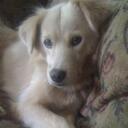 Amy Cremeans - @ZooKeeper1214 - Twitter