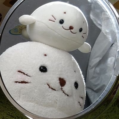 perotan_porotan's profile picture. しろたんと東京暮らしのpostです。
サウナスパプロフェッショナル。