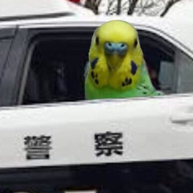 こわさん Kowappadodesyou Twitter