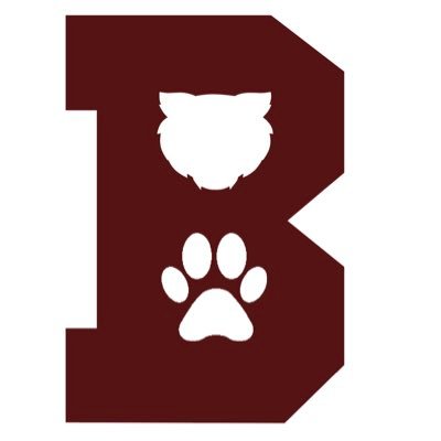 Student Activity Director