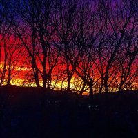 MrsGoldsworthy (@gskindergartens) 's Twitter Profile Photo