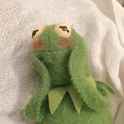hi if I liked ur tweet that means you are the best and you deserve the best 💘💕💘💕💘