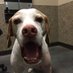 Tracy Landauer (@foodwineanddogs) Twitter profile photo Tracy Landauer (@foodwineanddogs) Twitter profile photo