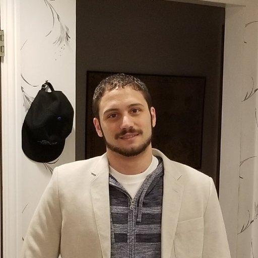 Software Dev/Director of Consulting, Expert