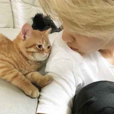 大人ARMY🐥ペン♡こんなに愛おしいと想える7人に出会えたことに感謝♡マイペースです笑