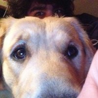 Totoxert (@totoxert) 's Twitter Profile