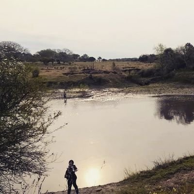 Tandilense, ahora metropolitana y Pichoniana.-