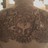 DaOneRamirez's profile image