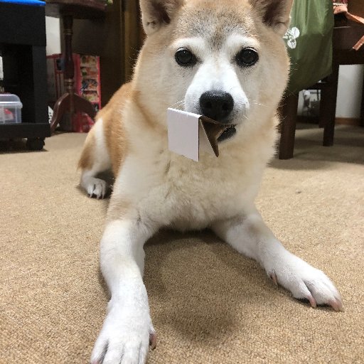 bukky_fx's profile picture. 