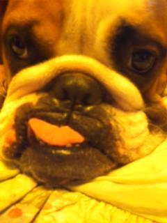 AXIS0FEVIL's profile picture. 