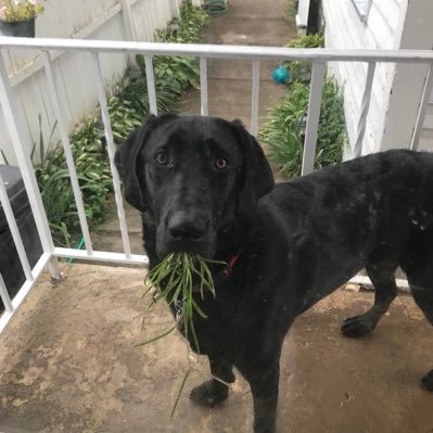 jensnyder75's profile picture. 