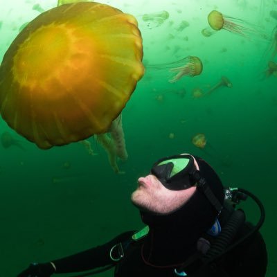 underwaterpat Profile Picture