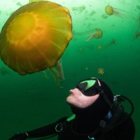 🌊 pat 🌊 (@underwaterpat) 's Twitter Profile Photo