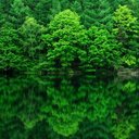 Joseph Star - @JosephStar4 - Twitter