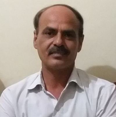 nktiwarilic's profile picture. insurance advisor