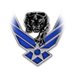 C.E King AFJROTC (@cekingafjrotc) Twitter profile photo C.E King AFJROTC (@cekingafjrotc) Twitter profile photo