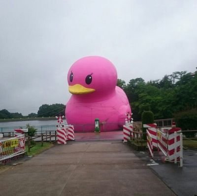 momo16893723's profile picture. I'm Japanese.
This is for studying English account.
I want to communicate with people all over the world!
フォローおねがいします☺
🙇🙇I'm sorry.I follow you silently🙇🙇