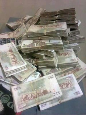 alexmwangi452's profile picture. 