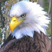 Larry (@larry_in_ohio) 's Twitter Profile