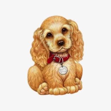lulifernandezfm's profile picture. 