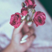 ᗩ♥️🕊 (@aaak1992) 's Twitter Profile