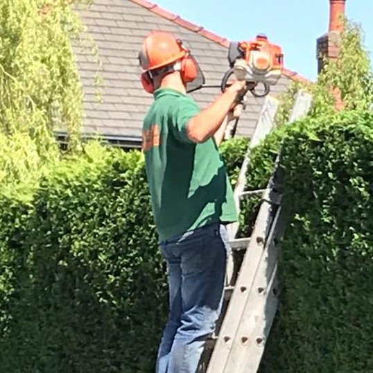 We are Cardiff based Tree Surgeons, offering Tree Surgery & Hedge services at competitive prices 🌲https://t.co/x3klf9vtnU