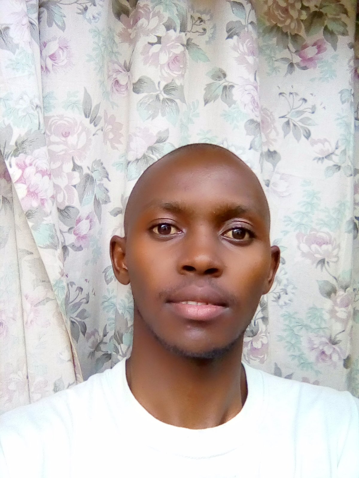 TalamBenedict's profile picture. I am a dedicated and efficient professional full stack developer with experience in Application layers, Presentation layers, and databases.