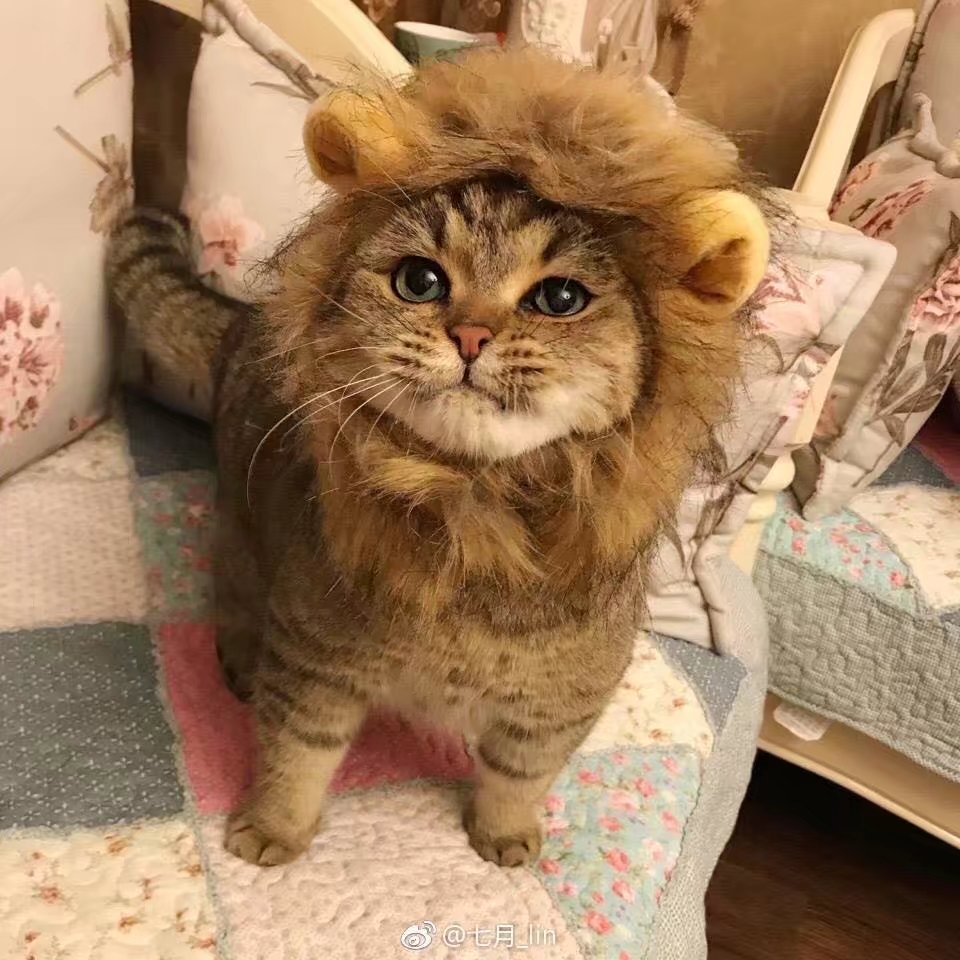 NIOさんのプロフィール画像