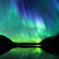 Northern Lights Tromsø(@NorLightsTromso) 's Twitter Profileg