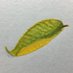 Actat🍃 (@actat85) Twitter profile photo Actat🍃 (@actat85) Twitter profile photo
