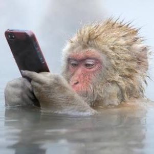 z_y_x_w_v_u_t__'s profile picture. 