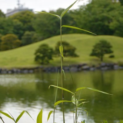 元ホルン吹き 元予備校講師