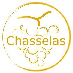 in love with chasselas ! Bons plans apéros, afterwork, caves ouvertes et dégustations autour du cépage roi en Suisse romande.
