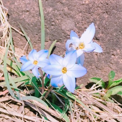 macoさんのプロフィール画像