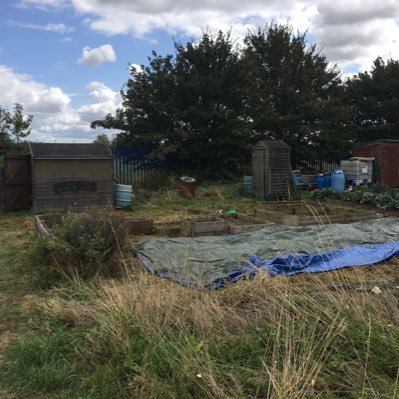 it’s 280 Sq metres of growing potential ! we dig for victory !